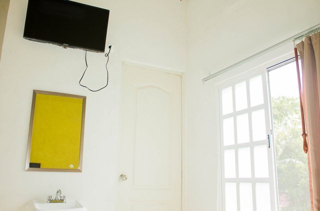 Vista 1